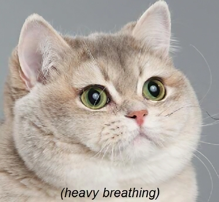 Heavy Breathing Cat